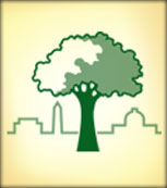 Casey Trees