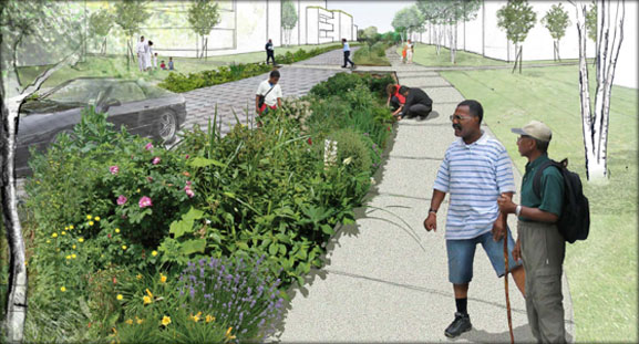 Landscape Design Land